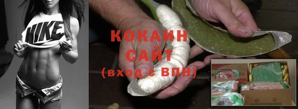 шишки Кинешма