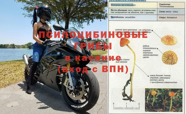 apvp Карталы