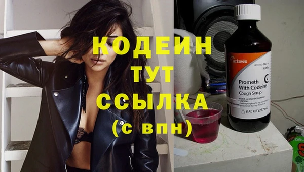 шишки Кинешма