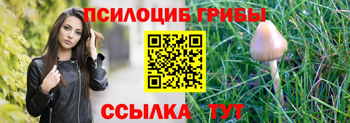 Псилоцибиновые грибы MAGIC MUSHROOMS Лобня